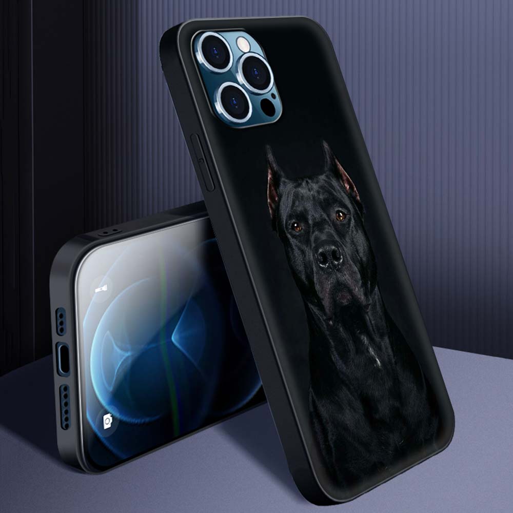 Hochwertige iPhone-Hülle mit Tierdesigns: Wolf, Hund, Katze, Vogel, Löwe, Tiger | MagSafe-kompatibles Case mit Kameralinsenschutz | Premium Hardcase für Apple iPhone 17/17 Air, 16/16e, 15, 14, 13 Pro Max Plus Cover | Stoßsichere Handyhülle & Panzertasche